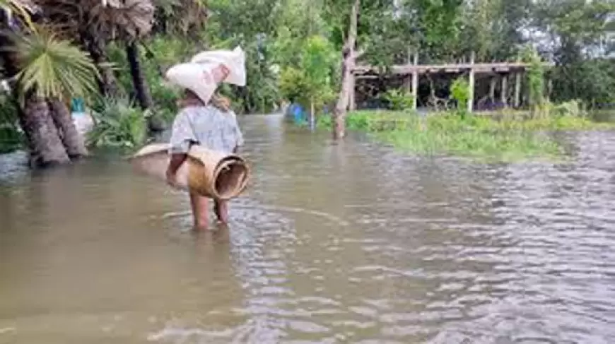 নোয়াখালীতে বন্যা পরিস্থিতির উন্নতি: ত্রাণ বিতরণ অব্যাহত