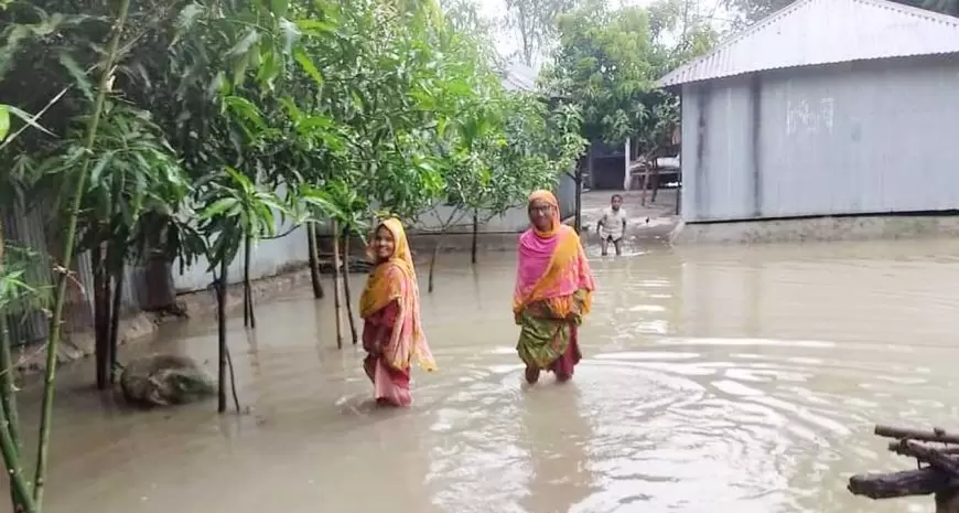 বসতবাড়ি থেকে নামতে শুরু করেছে তিস্তার পানি