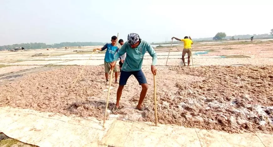 মহিপুরে অস্বাস্থ্যকর পরিবেশে তৈরি করা হয় পাহাড়ি ও উপজাতিদের প্রিয় খাবার "নাপ্পি"