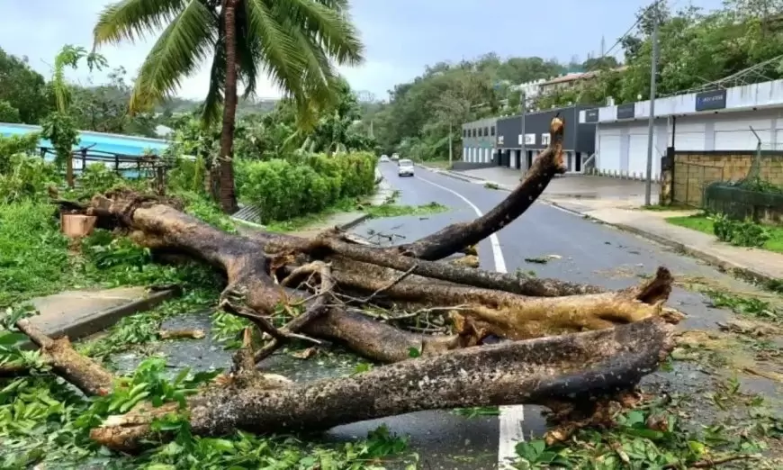 ভূমিকম্পের পর ভানুয়াতুর রাস্তায় মরদেহ পড়ে আছে