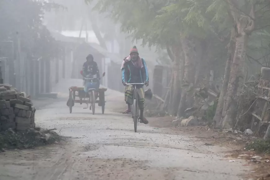 ৯ জানুয়ারির পর দেশে শৈত্যপ্রবাহ ফিরতে পারে: বিএমডি